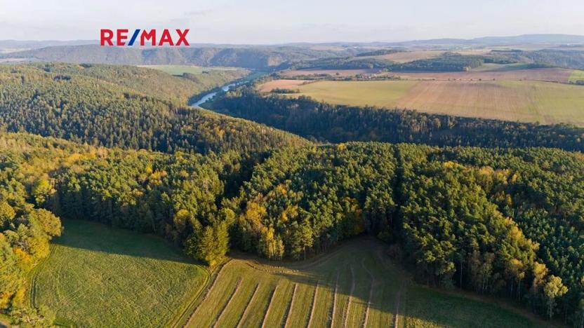 Prodej lesa, Všehrdy, 35057 m2