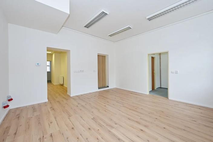 Pronájem obchodního prostoru, Brno, Horova, 132 m2