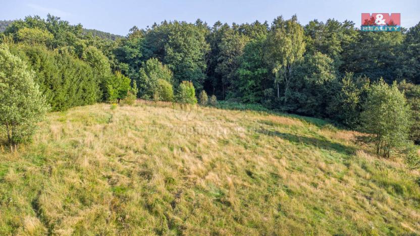 Prodej louky, Nový Bor - Janov, 5500 m2