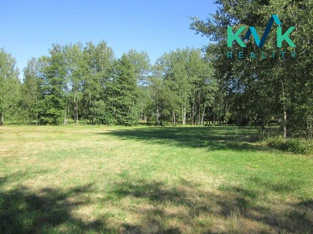 Prodej louky, Nejdek, 7718 m2