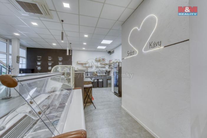 Pronájem obchodního prostoru, Třemošná, Plzeňská, 100 m2