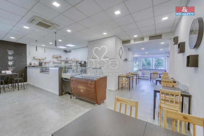 Pronájem obchodního prostoru, Třemošná, Plzeňská, 100 m2