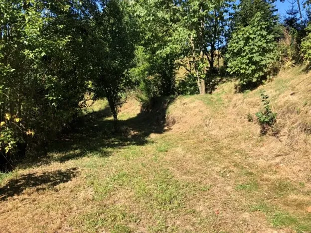 Prodej chalupy, Brtnice, 120 m2