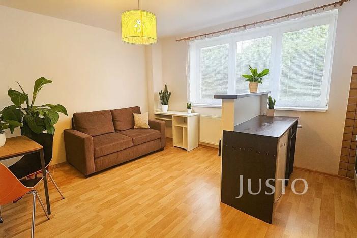 Pronájem bytu 1+kk, Písek, Přemyslova, 27 m2