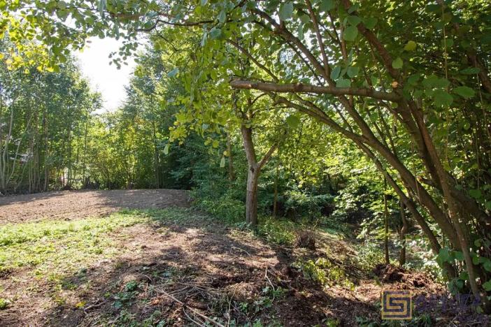 Prodej pozemku pro bydlení, Kujavy, 1743 m2