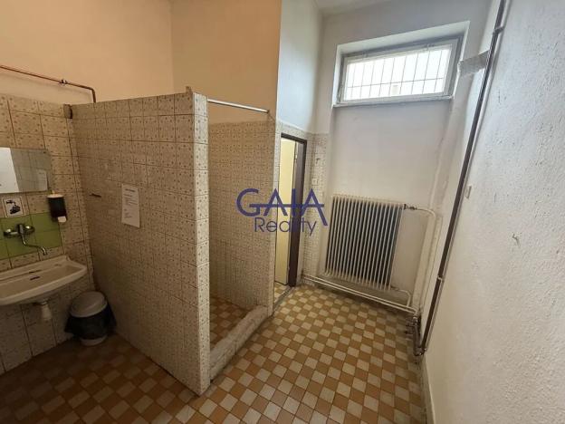 Prodej obchodního prostoru, Dešná, 268 m2