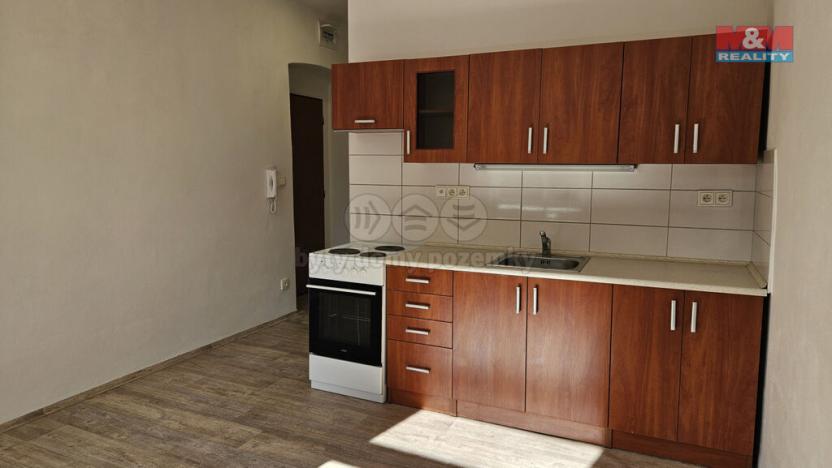 Pronájem bytu 1+kk, Plzeň - Východní Předměstí, Úslavská, 20 m2