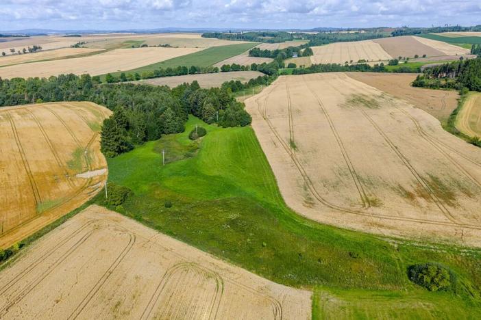 Prodej rybníku, Želetava, 5179 m2