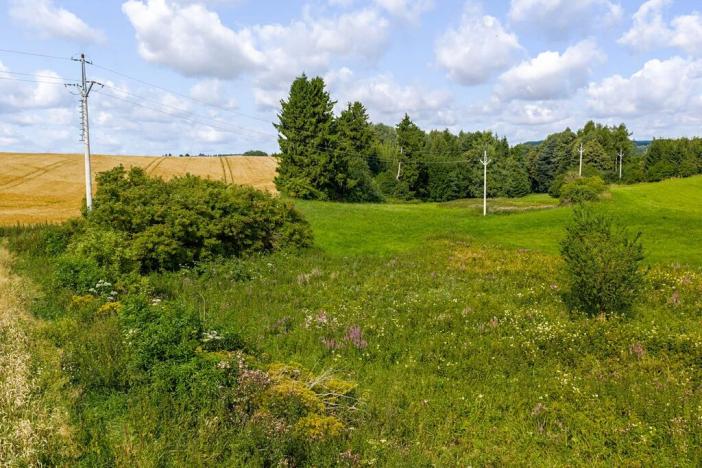 Prodej rybníku, Želetava, 5179 m2