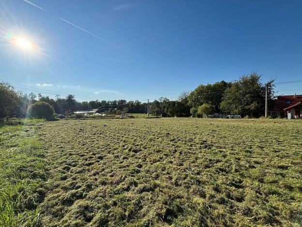Prodej pozemku pro bydlení, Dolní Domaslavice, 1278 m2