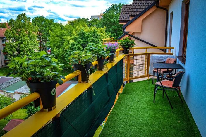 Prodej bytu 4+1, České Budějovice, U Trojice, 116 m2