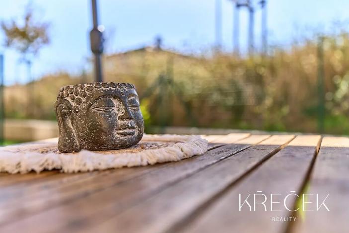 Prodej bytu 3+kk, Mladá Boleslav, Mileny Hážové, 93 m2