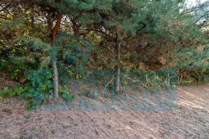 Prodej pozemku pro bydlení, Hrusice, 1351 m2