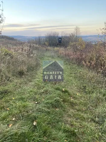 Prodej lesa, Ždánice, 3224 m2