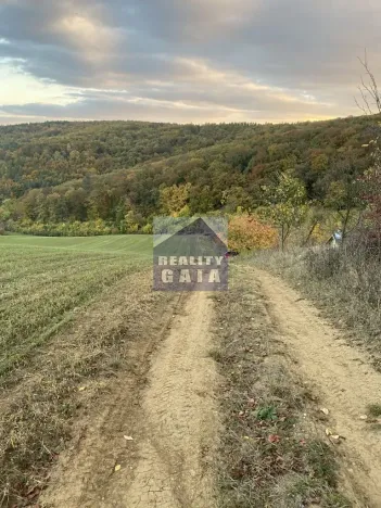 Prodej lesa, Ždánice, 3224 m2