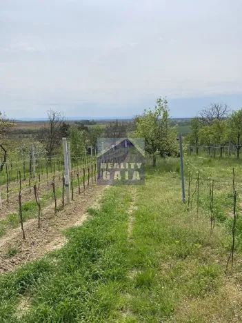 Prodej vinného sklepa, Vlkoš, 50 m2