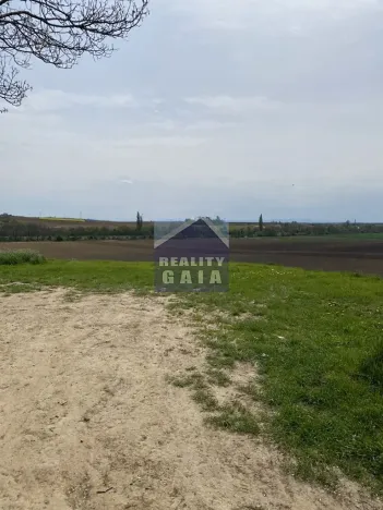 Prodej vinného sklepa, Vlkoš, 50 m2