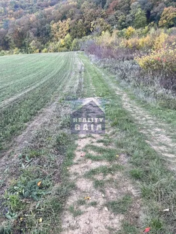 Prodej pozemku, Ždánice, 3224 m2