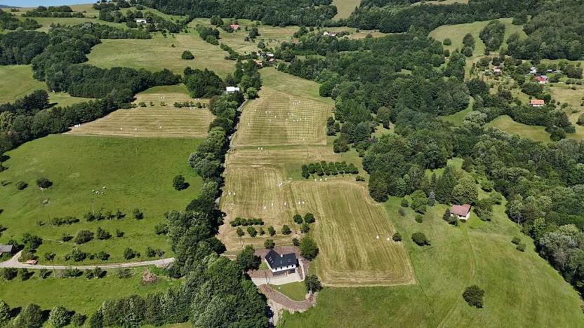 Prodej pozemku pro bydlení, Vyškovec, 5950 m2