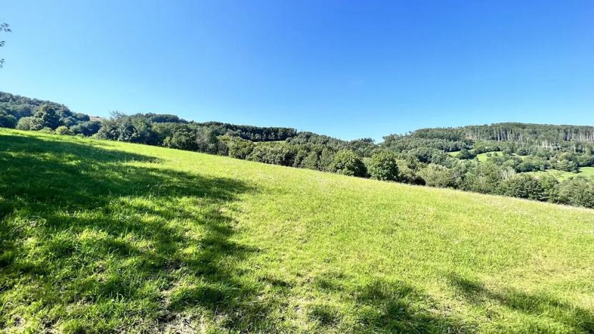 Prodej pozemku pro bydlení, Vyškovec, 5950 m2