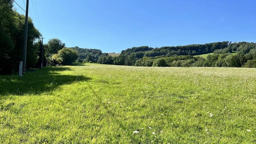 Prodej pozemku pro bydlení, Vyškovec, 5950 m2