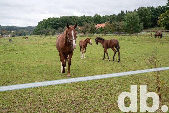 Prodej pozemku pro bydlení, Kamenice, Hadovitá, 832 m2