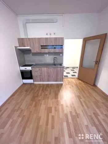 Pronájem bytu 1+kk, Brno, Bayerova, 30 m2