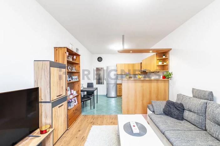 Prodej bytu 2+kk, Brno, Oblá, 56 m2