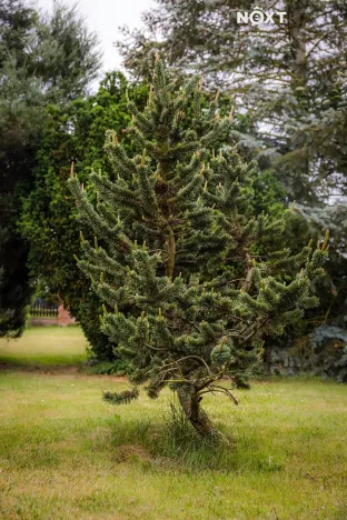 Prodej rodinného domu, Březno, 380 m2