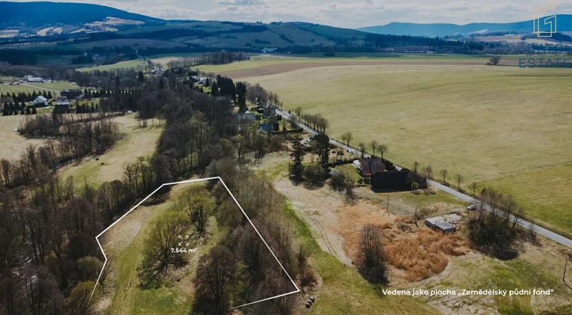 Prodej pole, Dolní Morava, 6487 m2