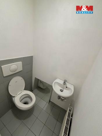 Pronájem komerční nemovitosti, Ostrava - Přívoz, Úprkova, 54 m2