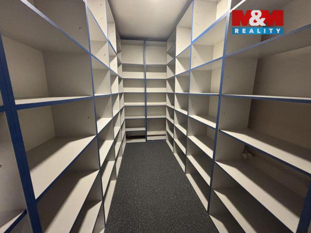 Pronájem komerční nemovitosti, Ostrava - Přívoz, Trocnovská, 240 m2