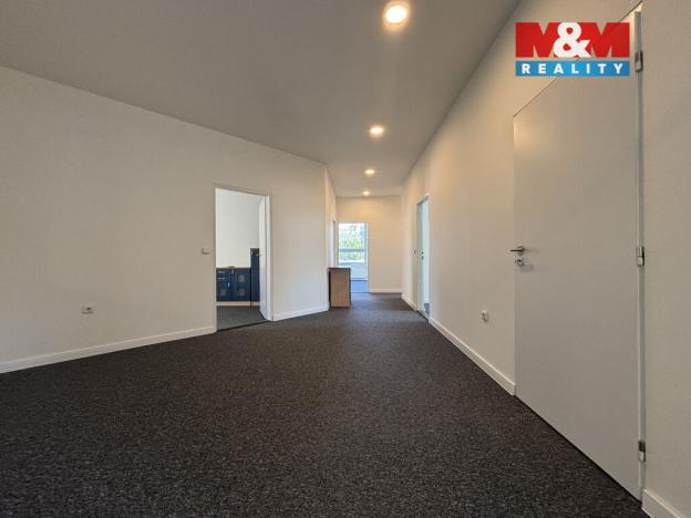 Pronájem obchodního prostoru, Ostrava - Přívoz, Trocnovská, 240 m2