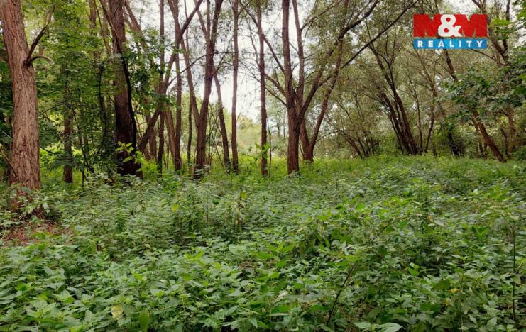 Prodej louky, Bystřice, 682 m2