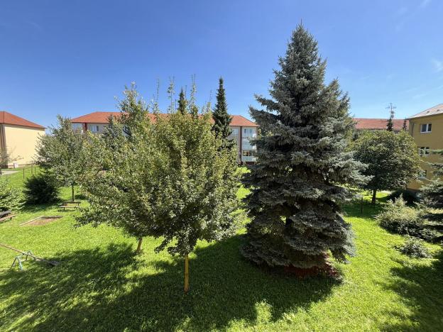 Prodej bytu 3+1, Otrokovice, Bezručova, 69 m2