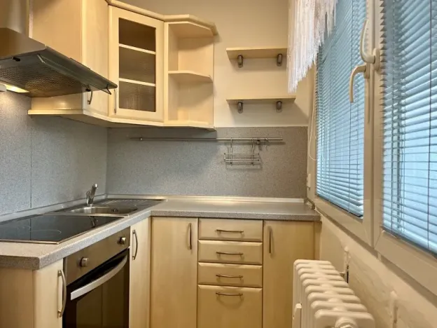 Pronájem bytu 1+kk, Kladno, Na růžovém poli, 38 m2