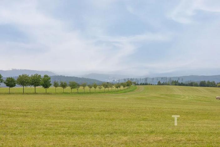 Prodej pozemku pro bydlení, Velenov, 12680 m2