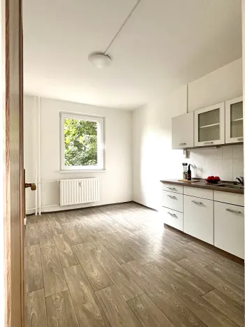 Pronájem bytu 3+1, Česká Lípa, Okružní, 58 m2