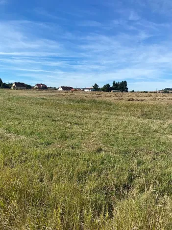 Prodej pozemku pro bydlení, Lnáře, 5991 m2