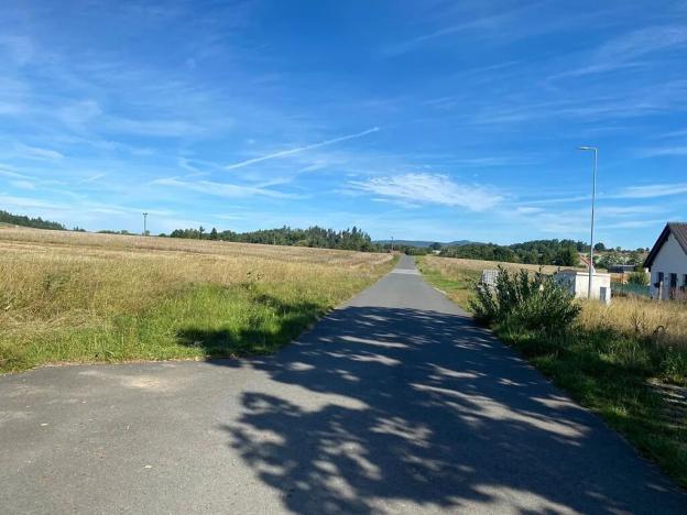 Prodej pozemku pro bydlení, Lnáře, 5991 m2