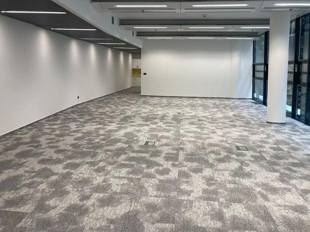 Pronájem kanceláře, Praha - Nové Město, Jindřišská, 231 m2