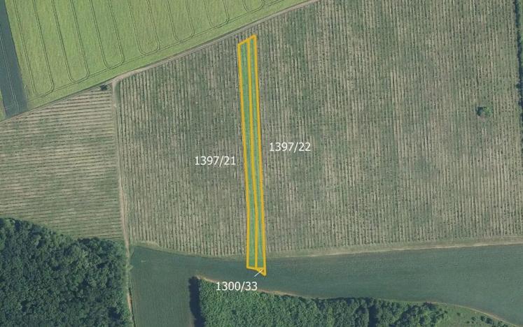 Prodej louky, Brumovice, 9612 m2