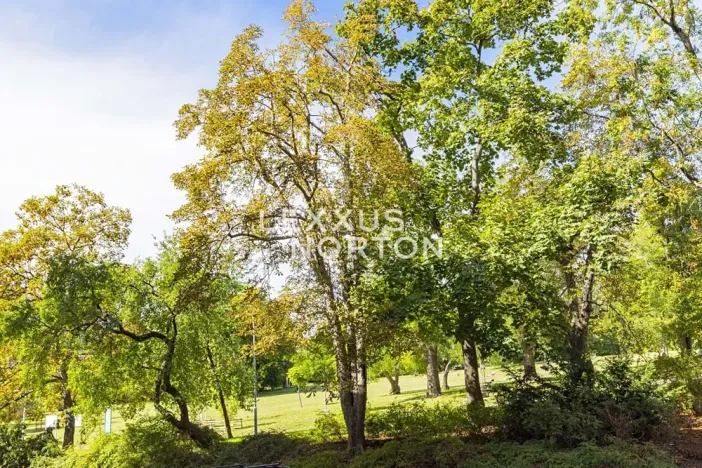 Pronájem bytu 3+1, Praha - Vinohrady, Polská, 114 m2