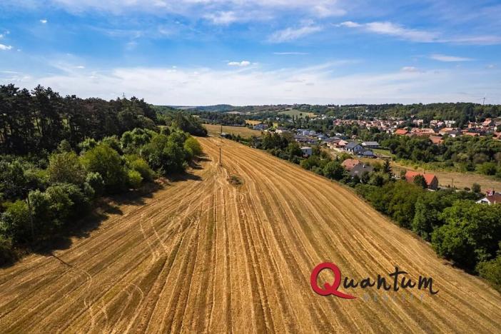 Prodej pozemku pro bydlení, Brandýsek, Nad Kovárnou, 16339 m2