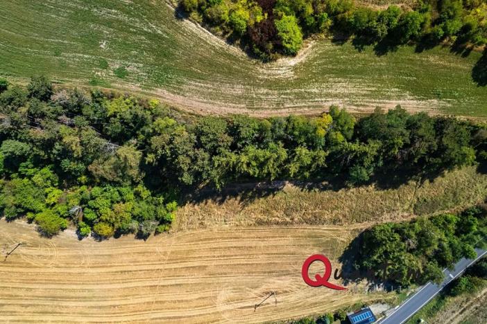 Prodej pozemku pro bydlení, Brandýsek, Nad Kovárnou, 16339 m2