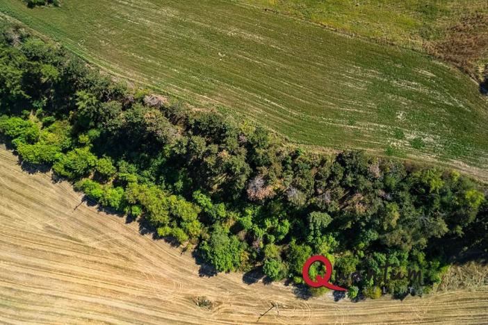 Prodej pozemku pro bydlení, Brandýsek, Nad Kovárnou, 16339 m2