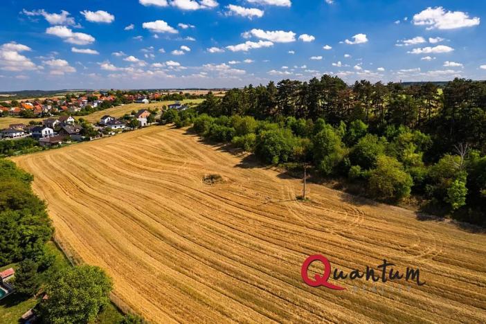 Prodej pozemku pro bydlení, Brandýsek, Nad Kovárnou, 16339 m2