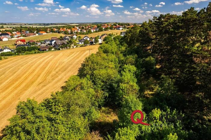 Prodej pozemku pro bydlení, Brandýsek, Nad Kovárnou, 16339 m2
