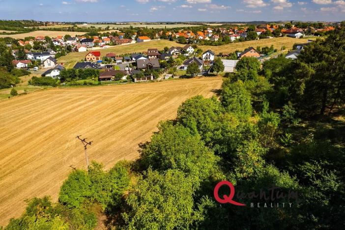 Prodej pozemku pro bydlení, Brandýsek, Nad Kovárnou, 16339 m2