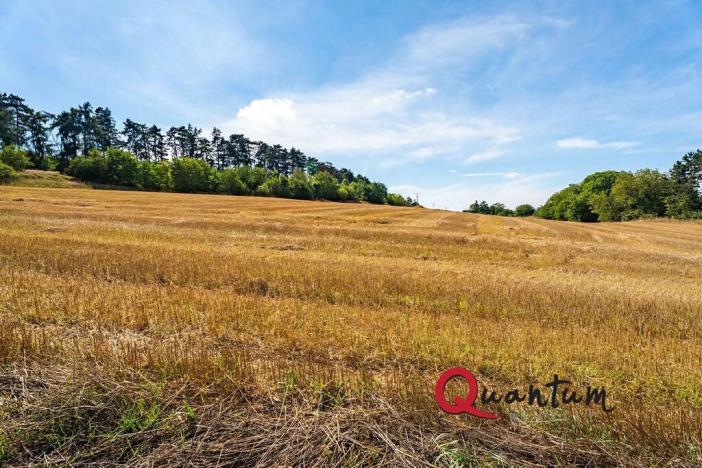 Prodej pozemku pro bydlení, Brandýsek, Nad Kovárnou, 16339 m2